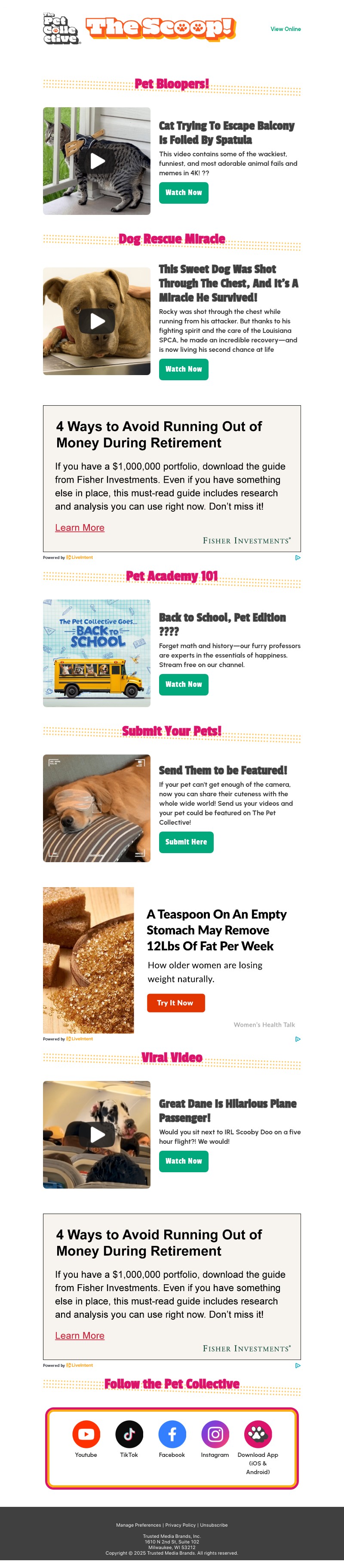 Screenshot of email with subject /media/emails/edb833ce-2c21-49a5-9f90-04f10987e23c.jpg