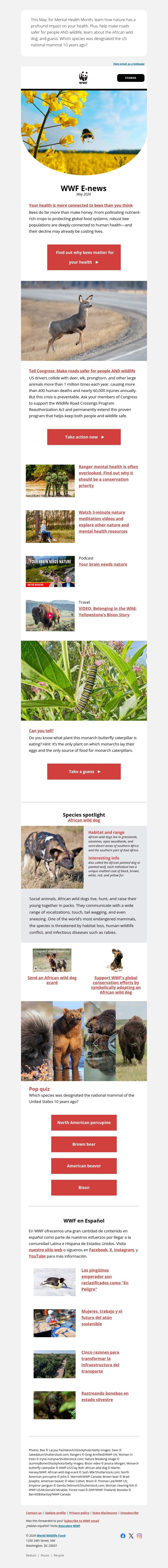Screenshot of email with subject /media/emails/edd57ebf-9134-495b-88a4-df6b5de8e9b6.jpg