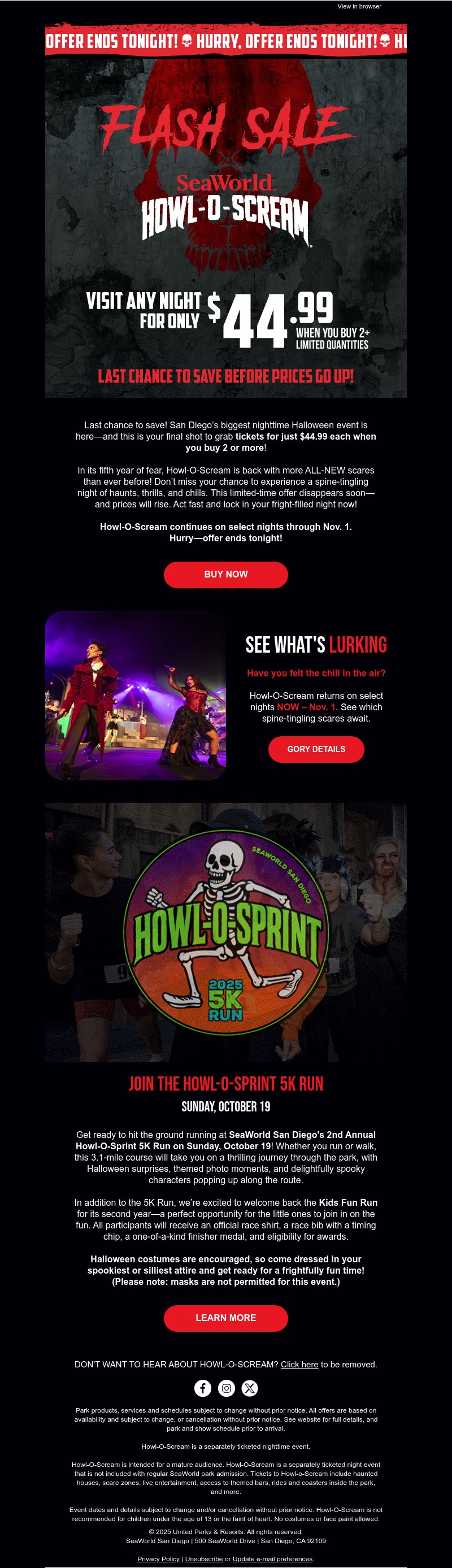 Screenshot of email with subject /media/emails/ede0a971-b24c-4d4e-ab22-246875f20784.jpg