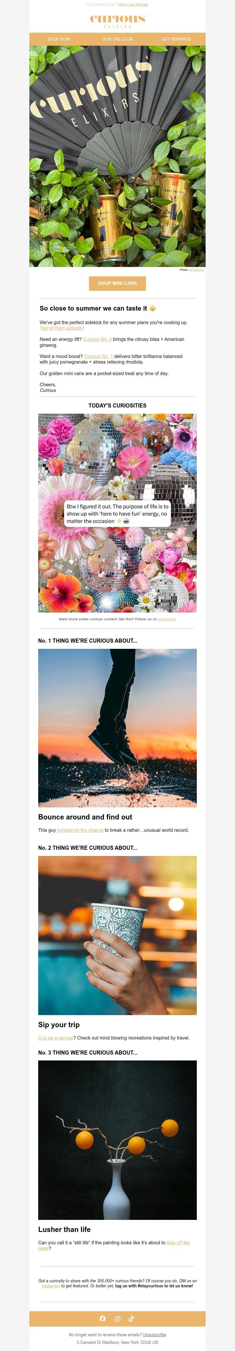 Screenshot of email with subject /media/emails/ee904332-7e0b-4a02-80df-d202d303141c.jpg