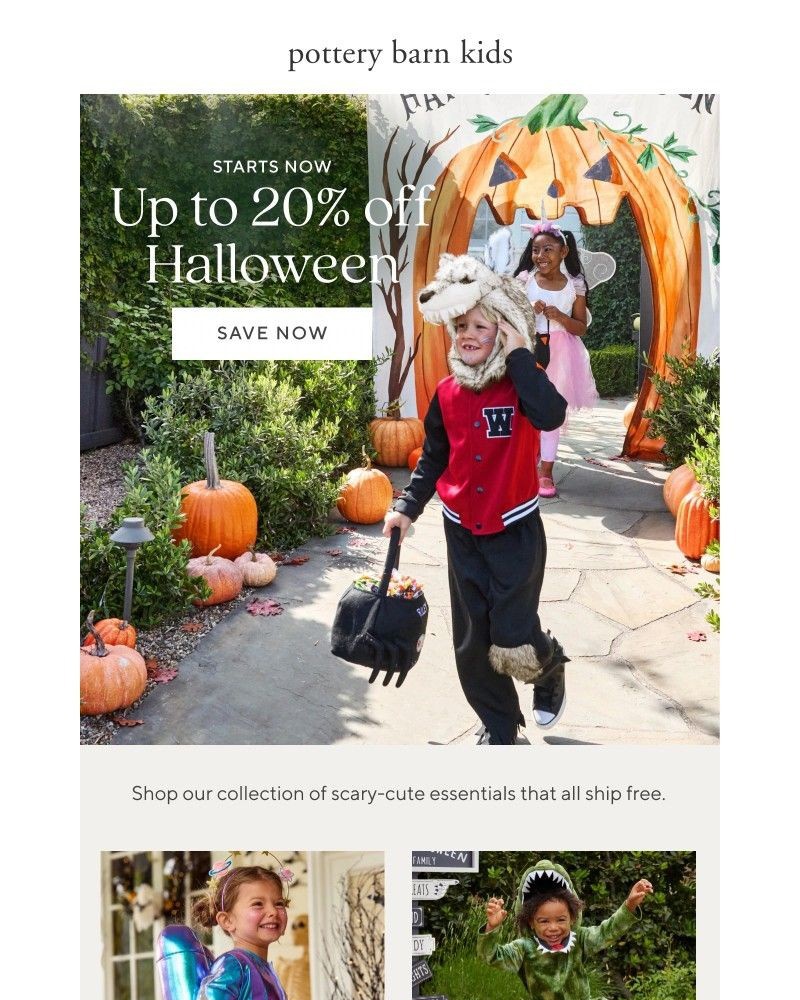 Screenshot of email with subject /media/emails/eeek-up-to-20-off-halloween-starts-now-750076-cropped-e51b33e2.jpg