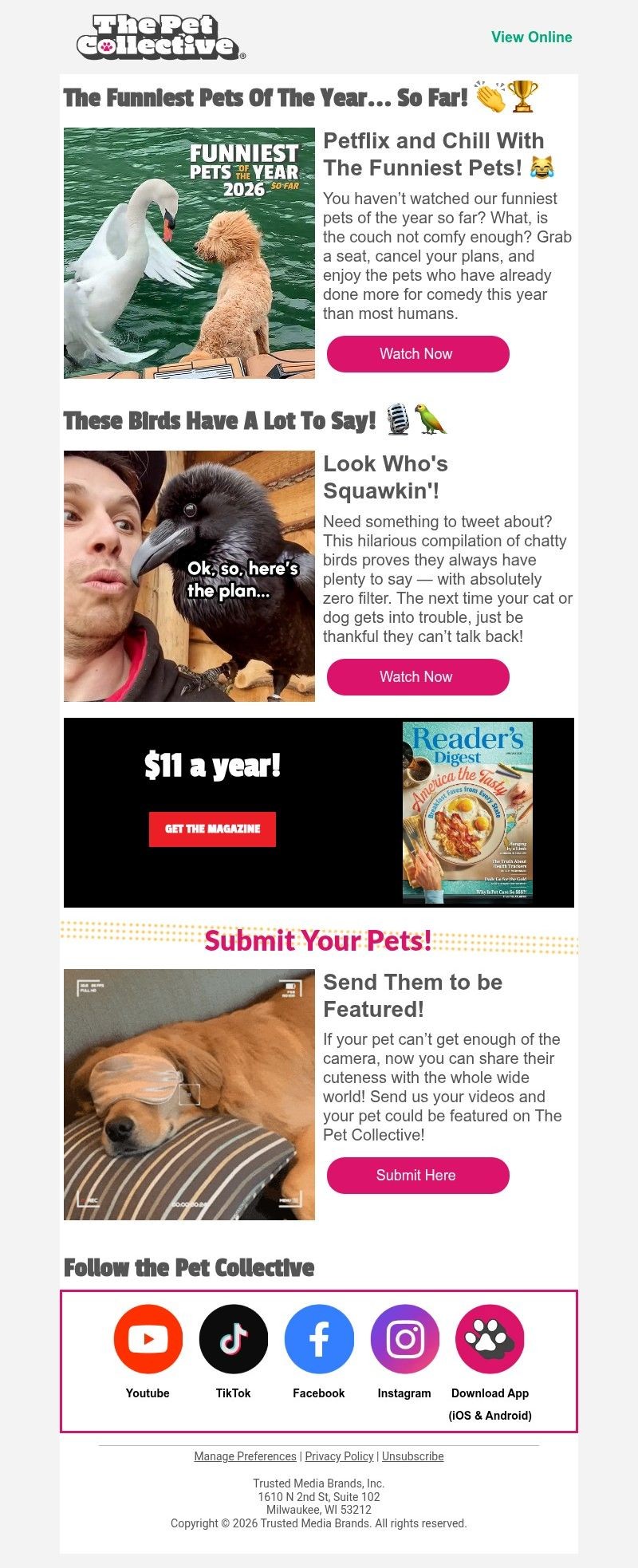 Screenshot of email with subject /media/emails/ef45b810-ddb1-4bb7-b863-93768ce62355.jpg