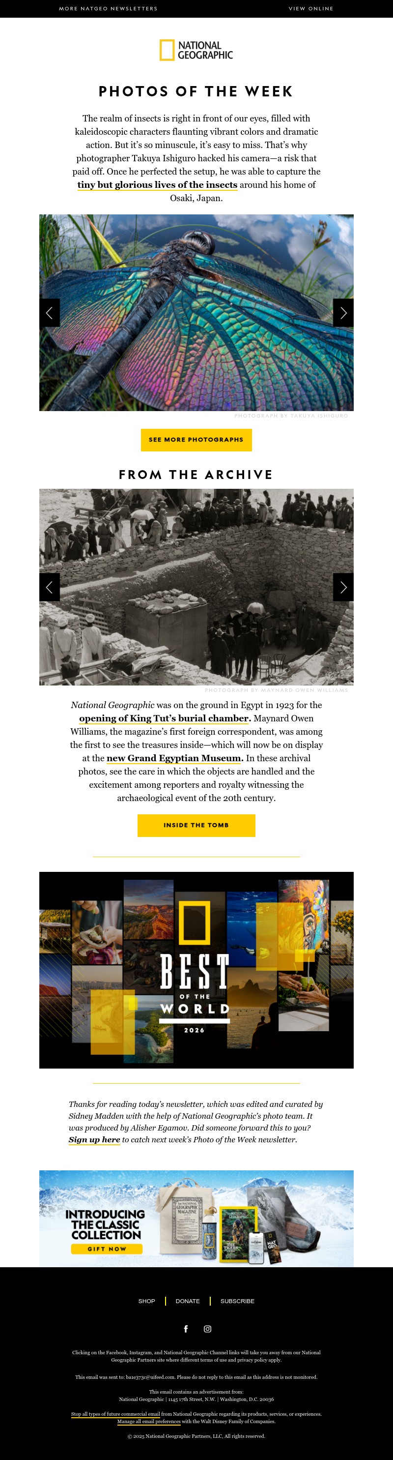 Screenshot of email with subject /media/emails/ef56834a-58ac-47d9-8b40-d848951bdc0e.jpg