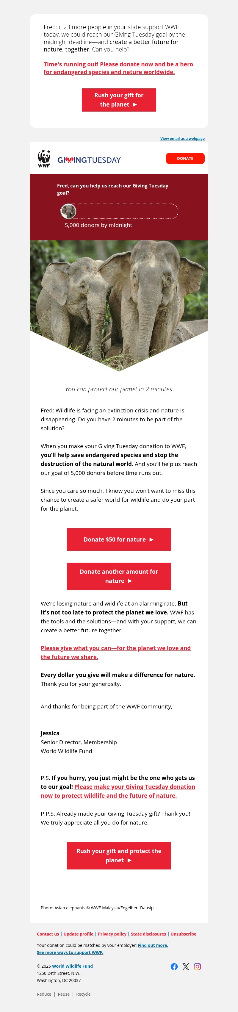 Screenshot of email with subject /media/emails/eff07db6-83fb-4f39-a52b-3819f6929918.jpg