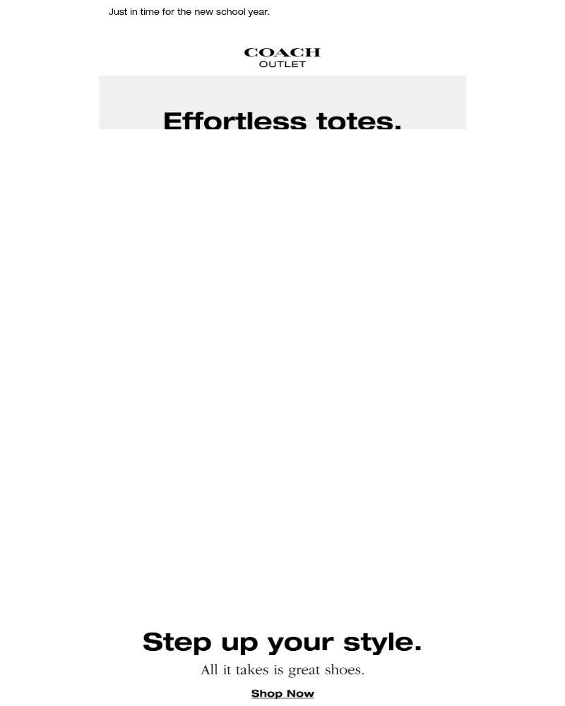 Screenshot of email sent to a Coach Newsletter subscriber