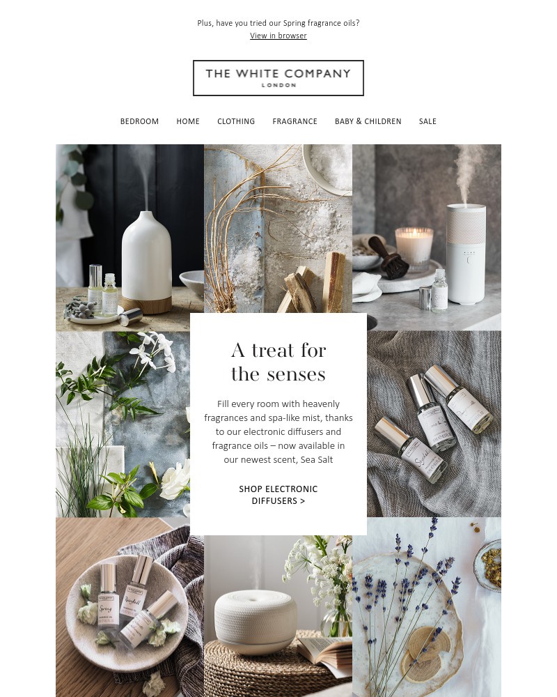 Screenshot of email with subject /media/emails/electronic-diffusers-the-ultimate-way-to-scent-your-space-9f5b25-cropped-b3b384fa.jpg