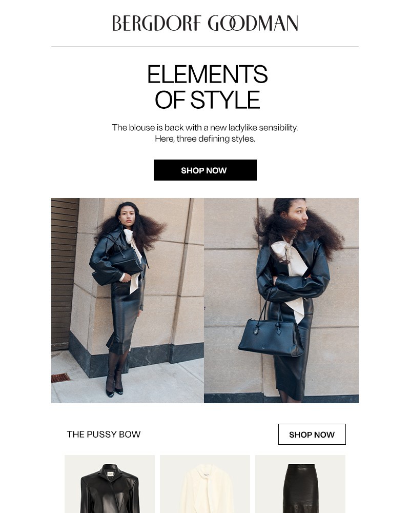 Screenshot of email with subject /media/emails/elements-of-style-the-ladylike-blouse-4e4adf-cropped-c96a1fa6.jpg