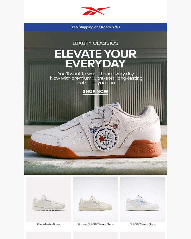 Screenshot of email with subject /media/emails/elevate-your-essentials-6e40e3-cropped-094a444c.jpg