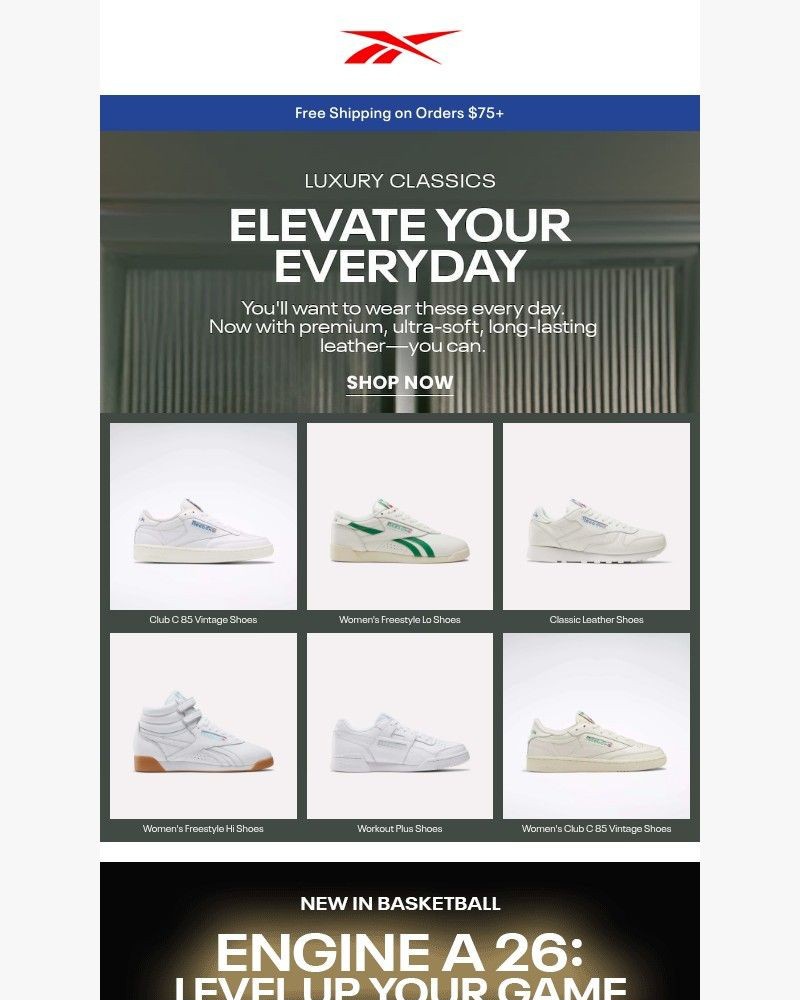 Screenshot of email with subject /media/emails/elevate-your-everyday-look-7a4eee-cropped-6eef1517.jpg