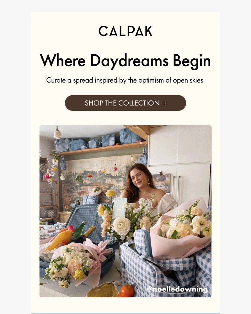 Screenshot of email with subject /media/emails/elevate-your-spring-picnic-0b78a3-cropped-891f6323.jpg