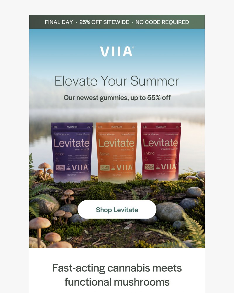 Screenshot of email with subject /media/emails/elevate-your-summer-up-to-55-off-8406ef-cropped-6dafb389.jpg