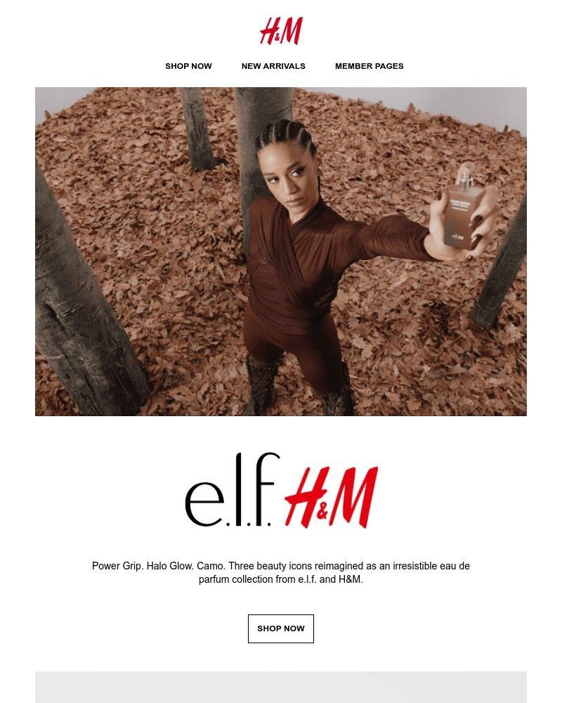 Screenshot of email sent to a H&M Newsletter subscriber