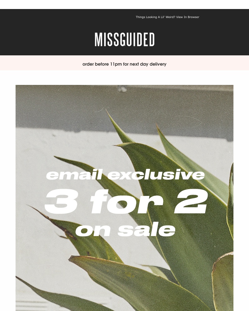 Screenshot of email with subject /media/emails/email-exclusive-3-for-2-on-sale-cropped-b86aa480.jpg