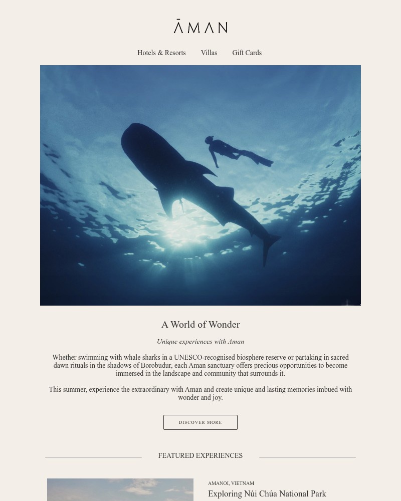Screenshot of email with subject /media/emails/embrace-a-summer-of-wonder-58e2eb-cropped-281fcd4b.jpg