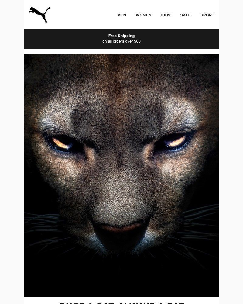 Screenshot of email sent to a Puma Newsletter subscriber