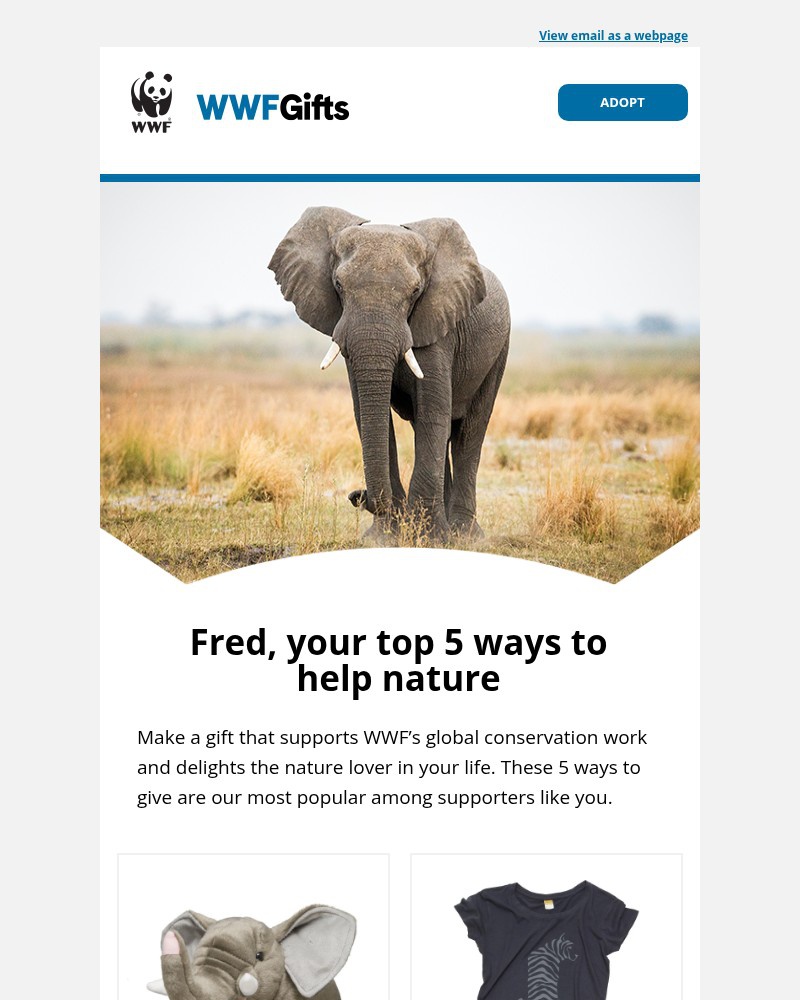 Screenshot of email with subject /media/emails/enclosed-5-delights-for-someone-who-supports-nature-d30909-cropped-5ec746e6.jpg
