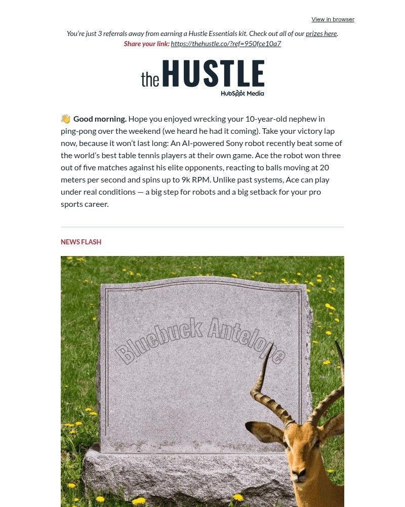 Screenshot of email sent to a The Hustle Newsletter subscriber