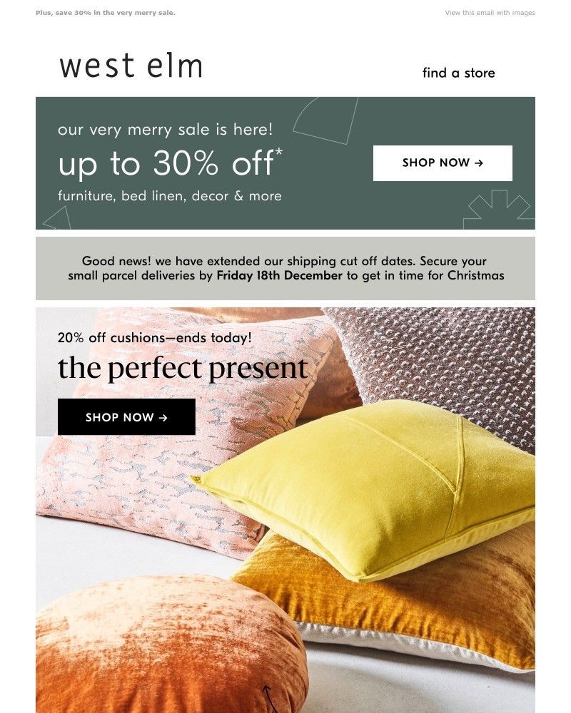 Screenshot of email with subject /media/emails/ending-soon-20-off-all-cushions-c8e0c5-cropped-d83fd060.jpg