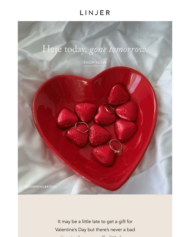 Screenshot of email with subject /media/emails/ending-soon-valentines-day-sale-10333a-cropped-4a3c1966.jpg