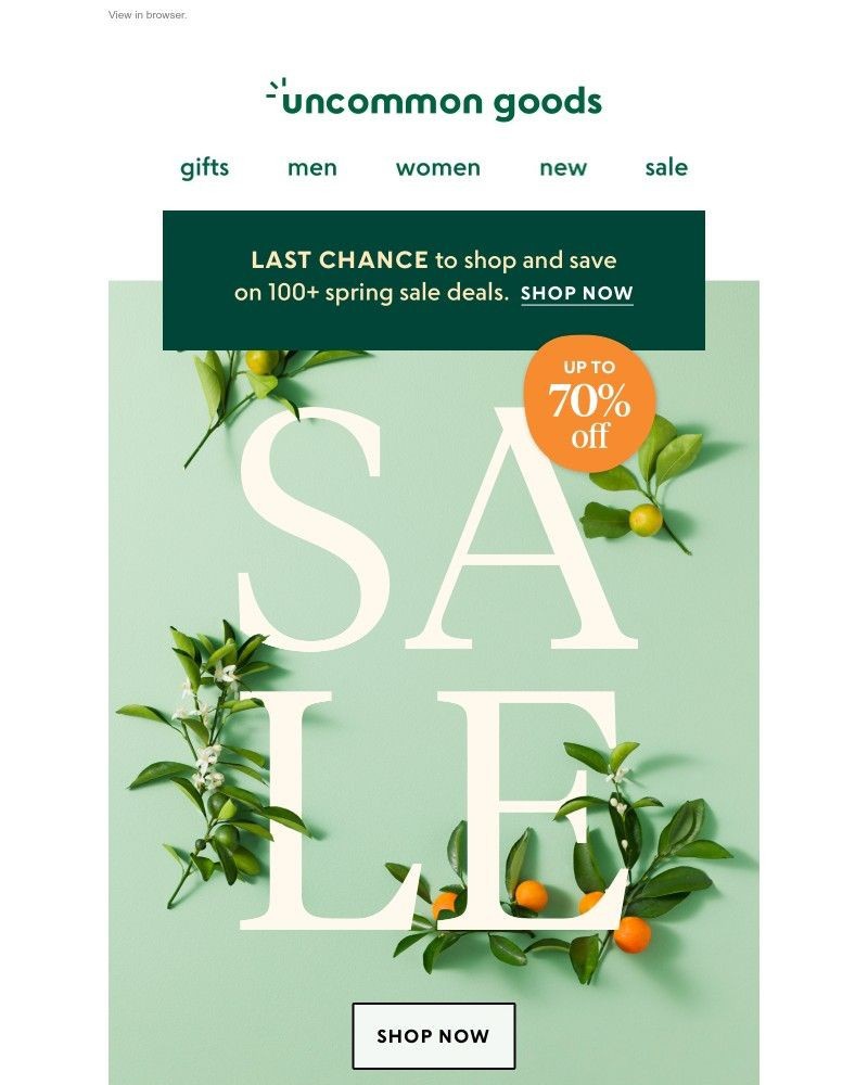 Screenshot of email with subject /media/emails/ending-today-our-spring-sale-save-up-to-70-now-160782-cropped-ea43fcd7.jpg
