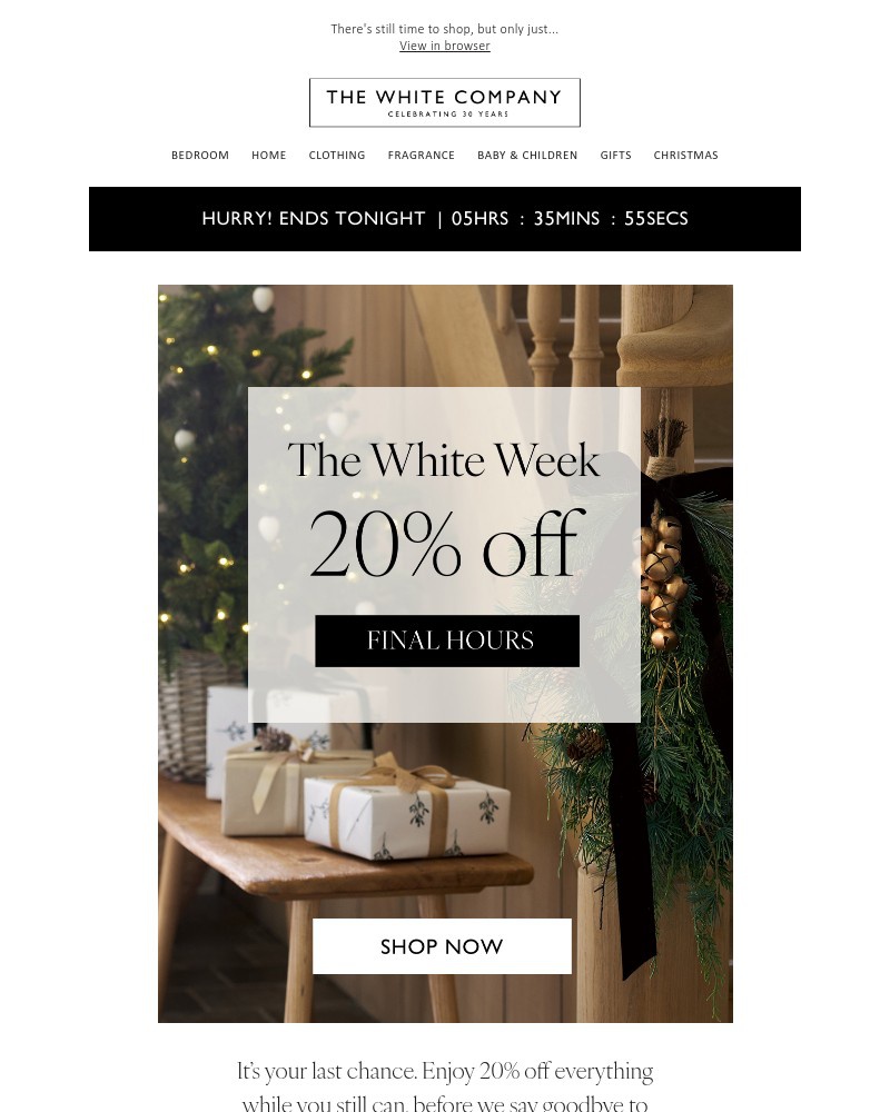 Screenshot of email with subject /media/emails/ends-at-midnight-20-off-everything-0cb6d8-cropped-c07c2be5.jpg