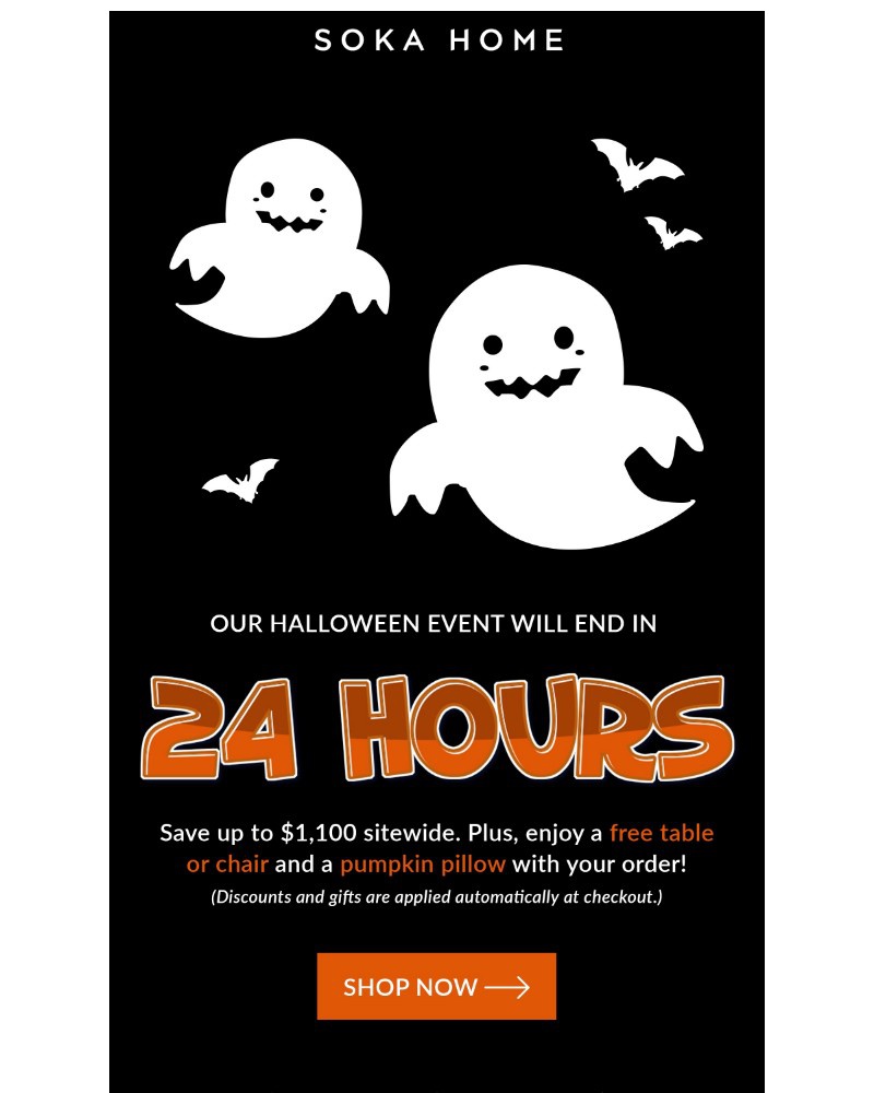 Screenshot of email with subject /media/emails/ends-in-24-hours-1100-off-free-gift-d07560-cropped-6fc74fd0.jpg