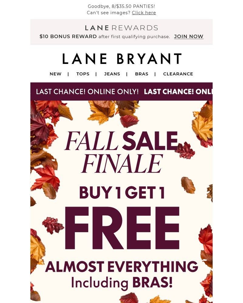 Screenshot of email with subject /media/emails/ends-in-minutes-bogo-free-fall-sale-finale-ef9253-cropped-f6e50297.jpg