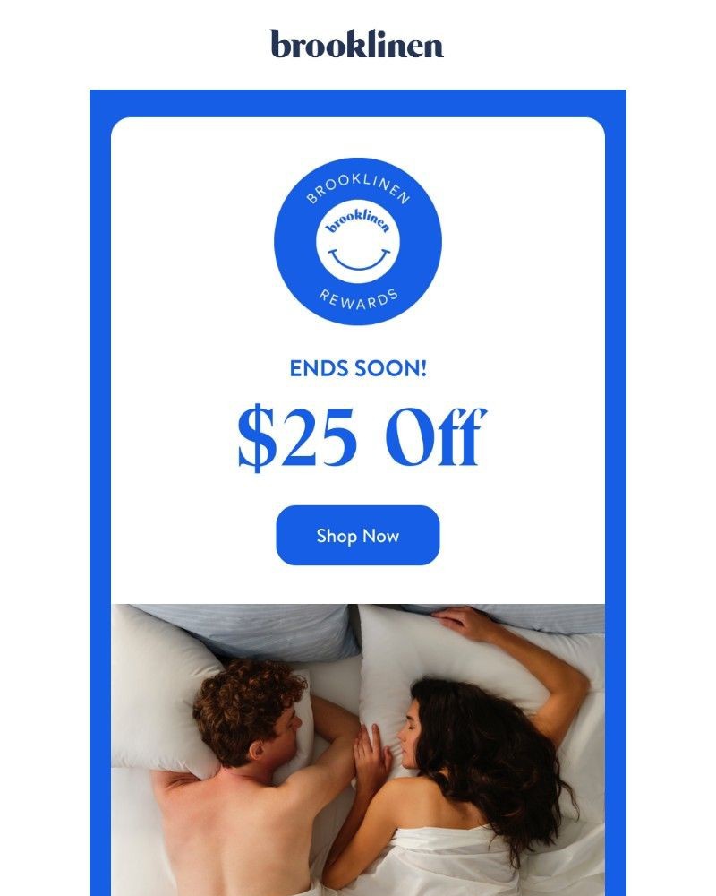 Screenshot of email with subject /media/emails/ends-soon-25-off-8414e5-cropped-4cc4622c.jpg
