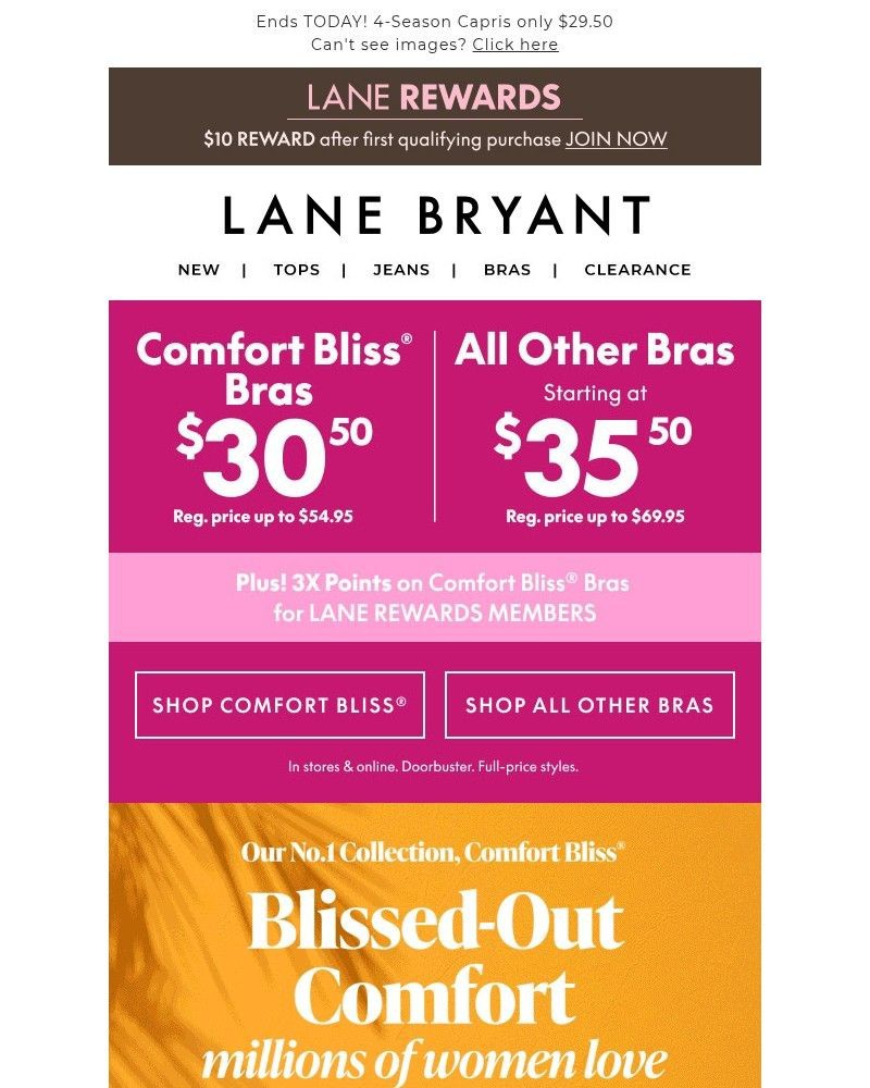 Screenshot of email sent to a Lane Bryant Newsletter subscriber