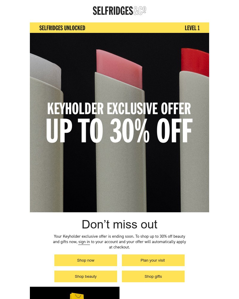 Screenshot of email sent to a Selfridges Newsletter subscriber