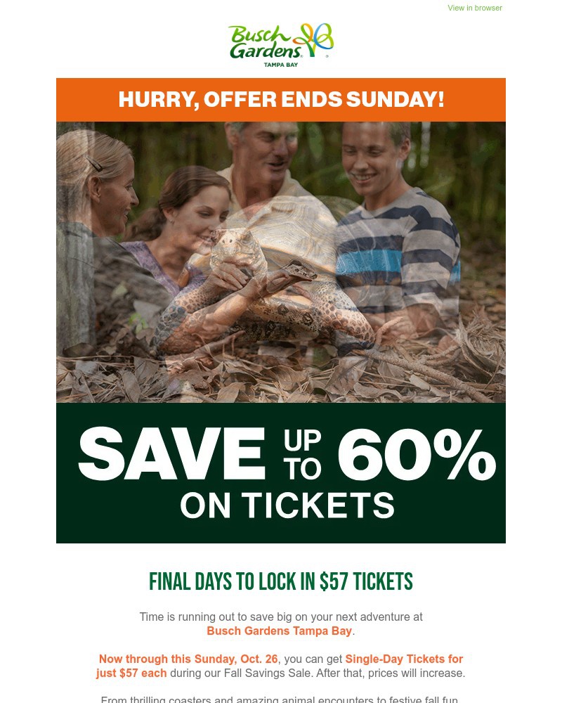 Screenshot of email with subject /media/emails/ends-sunday-grab-your-57-ticket-before-prices-go-up-cf042a-cropped-db2552ab.jpg