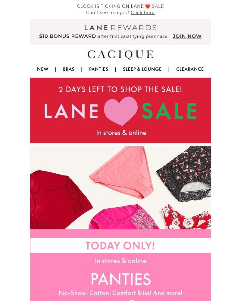 Screenshot of email with subject /media/emails/ends-today-1039-panties-now-in-stores-and-online-f7a03a-cropped-ce496db9.jpg