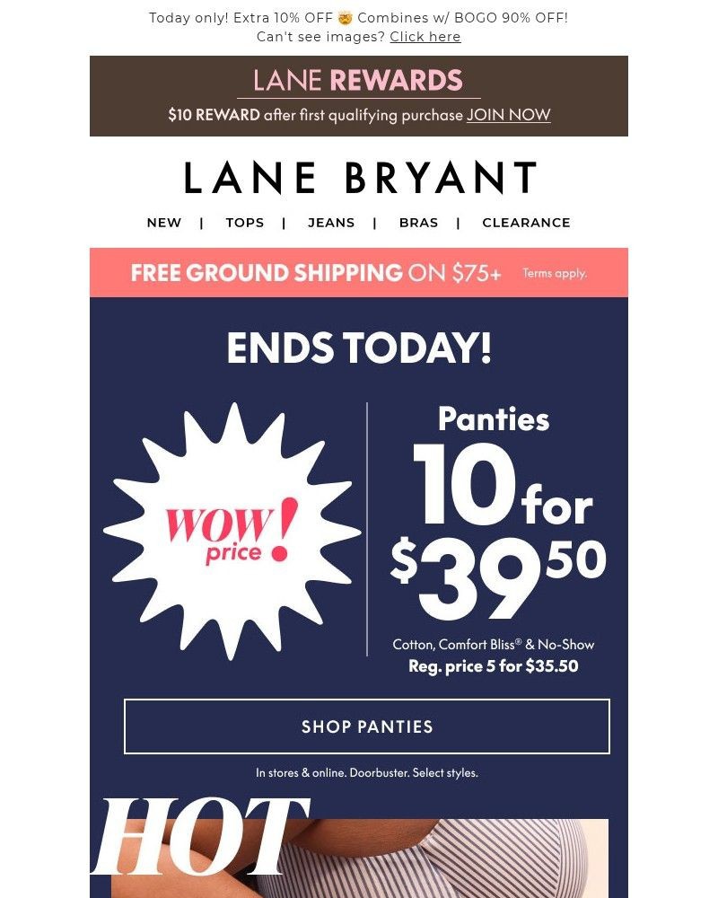 Screenshot of email sent to a Lane Bryant Newsletter subscriber