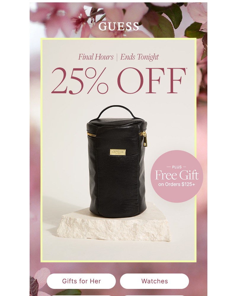 Screenshot of email with subject /media/emails/ends-today-25-off-gift-2224ec-cropped-384dedaf.jpg