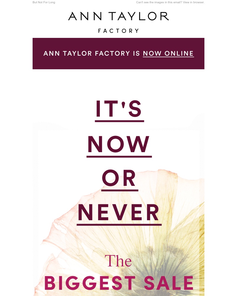Screenshot of email with subject /media/emails/ends-today-every-single-thing-is-on-sale-cropped-faeb909e.jpg