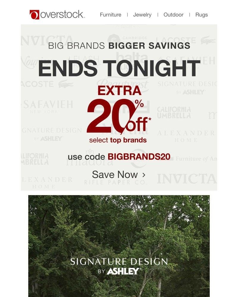 Screenshot of email with subject /media/emails/ends-today-extra-20-off-our-biggest-brands-a07d4f-cropped-09ae2081.jpg