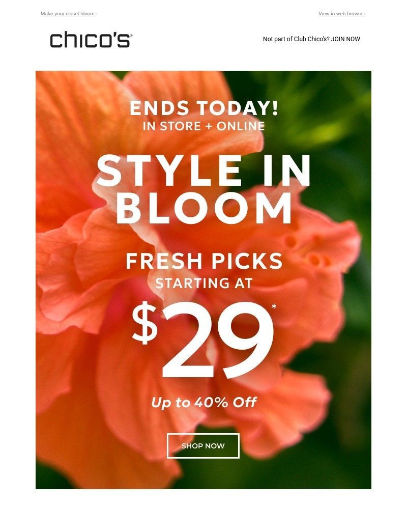 Screenshot of email with subject /media/emails/ends-today-fresh-picks-from-29-805bb8-cropped-75f600bd.jpg