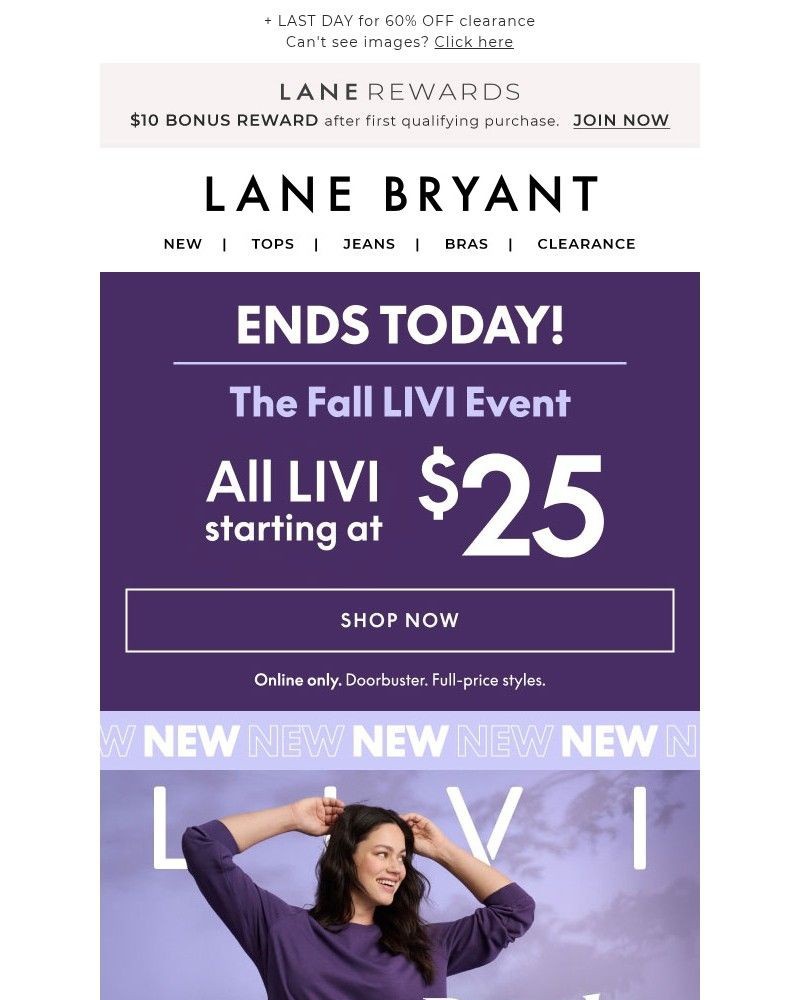 Screenshot of email with subject /media/emails/ends-today-livi-starting-at-25-now-chill-later-9ccb2b-cropped-d4a019cf.jpg