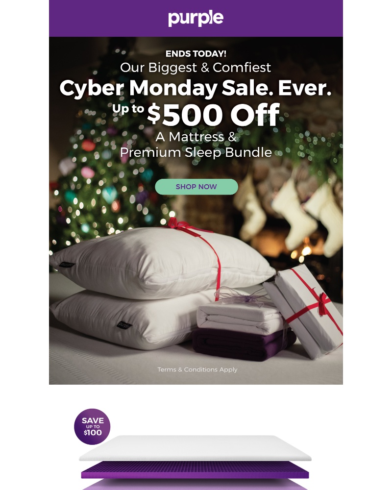 Screenshot of email with subject /media/emails/ends-today-our-biggest-cyber-monday-sale-ever-1-cropped-bc8d16a4.jpg