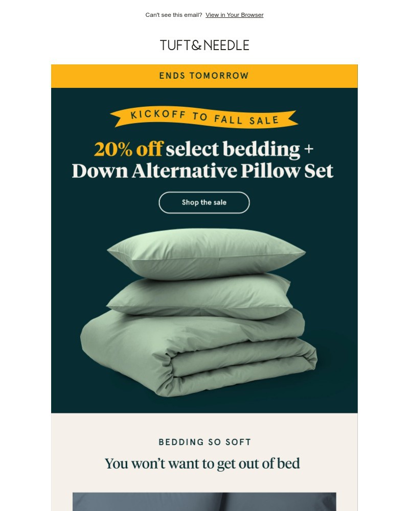 Screenshot of email with subject /media/emails/ends-tomorrow-20-off-select-accessories-872a46-cropped-7e046538.jpg