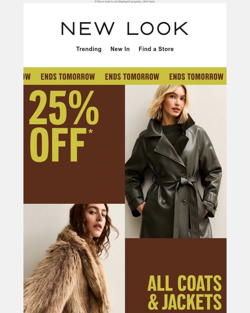 Screenshot of email sent to a New Look Newsletter subscriber
