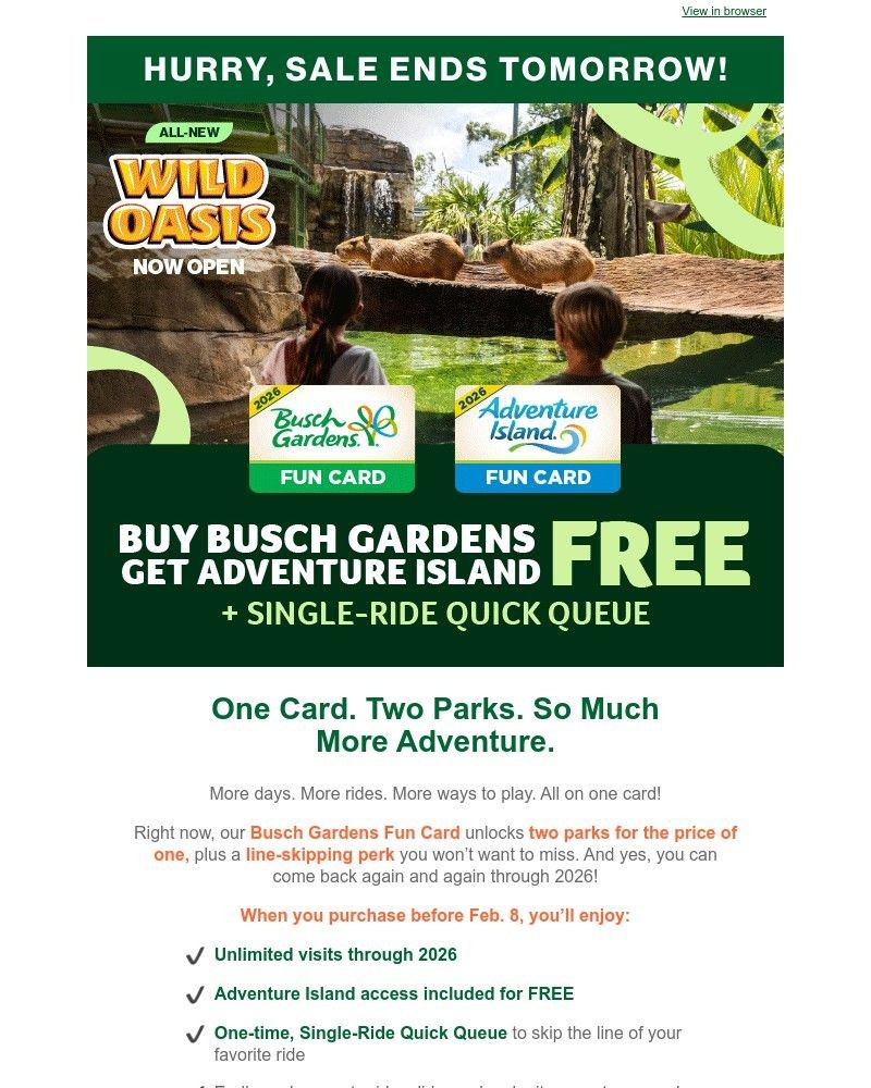 Screenshot of email sent to a Busch Gardens Newsletter subscriber