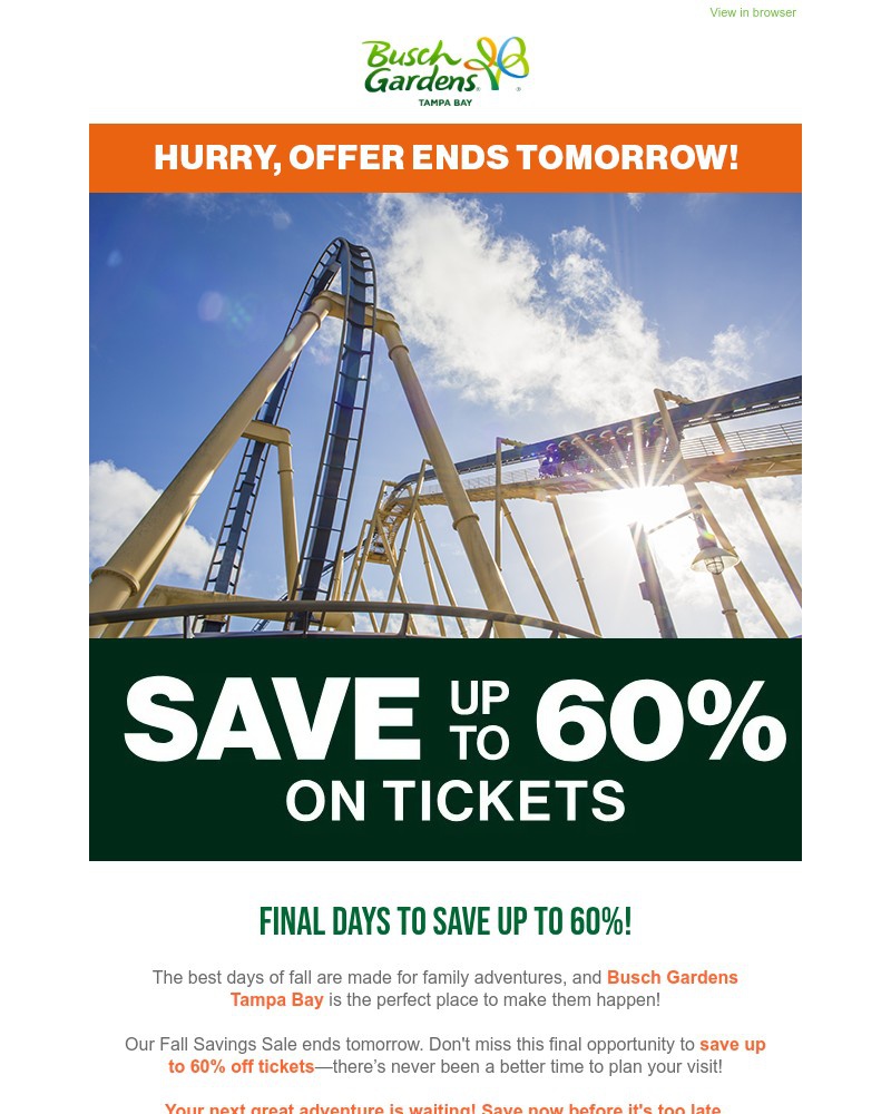 Screenshot of email sent to a Busch Gardens Newsletter subscriber