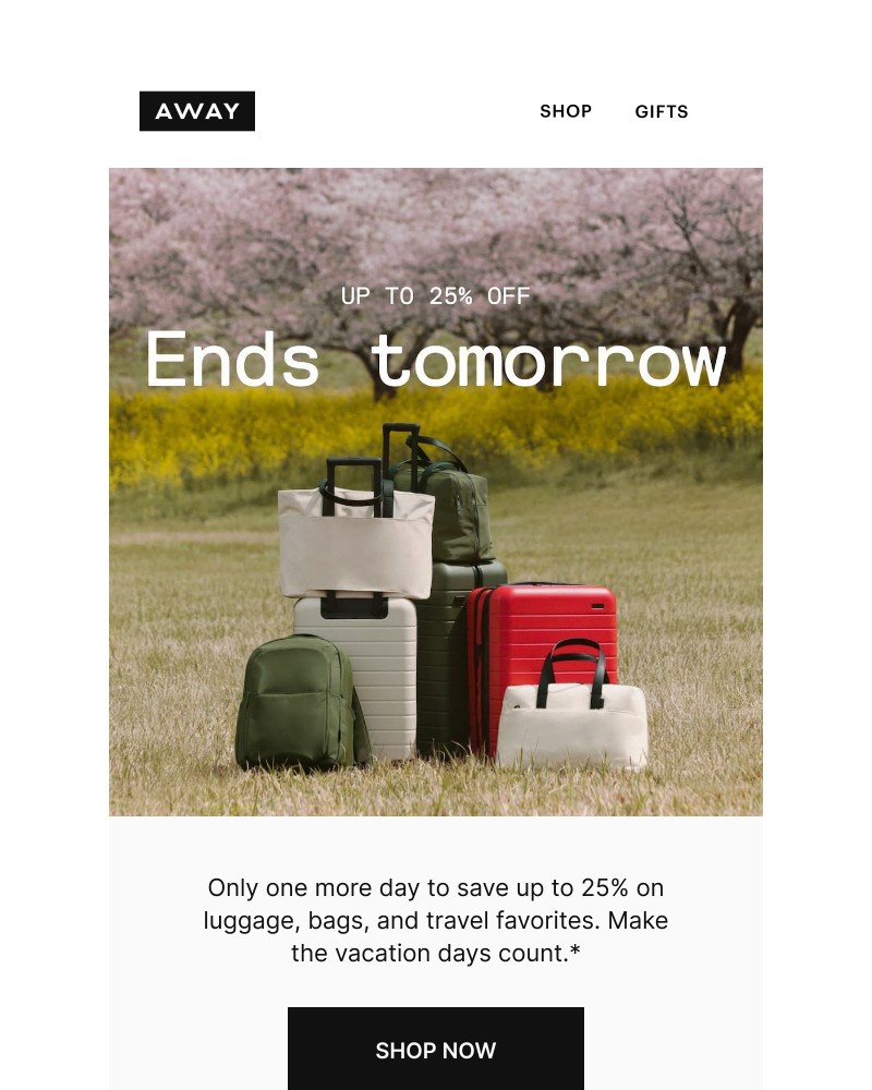 Screenshot of email with subject /media/emails/ends-tomorrow-up-to-25-off-ee61a0-cropped-7b5a2c4e.jpg