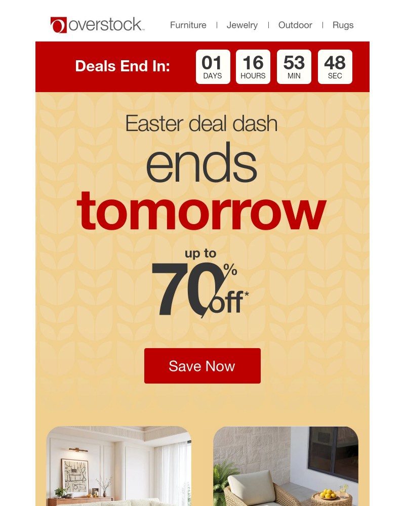Screenshot of email sent to a Overstock Newsletter subscriber