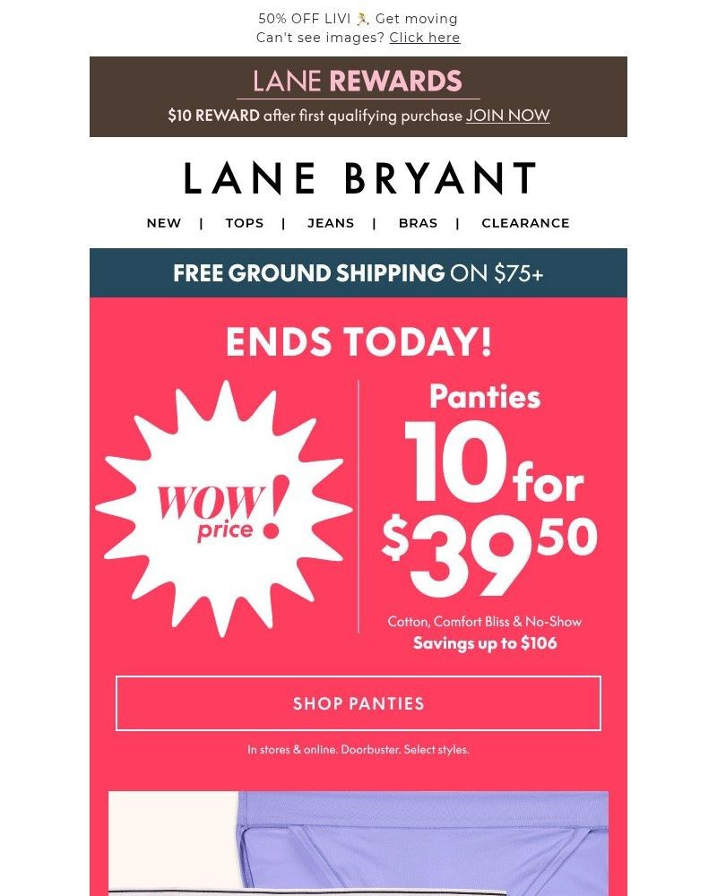 Screenshot of email with subject /media/emails/ends-tonight-103950-panties-358ded-cropped-eed31478.jpg