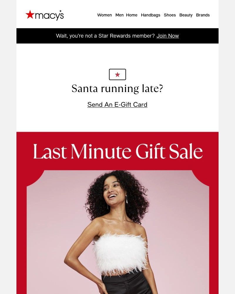 Screenshot of email with subject /media/emails/ends-tonight-20-60-off-during-our-last-minute-gift-sale-e97f57-cropped-1704b784.jpg