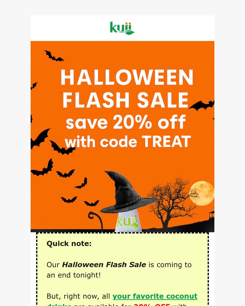 Screenshot of email with subject /media/emails/ends-tonight-20-off-halloween-flash-sale-b12c58-cropped-67f045e7.jpg