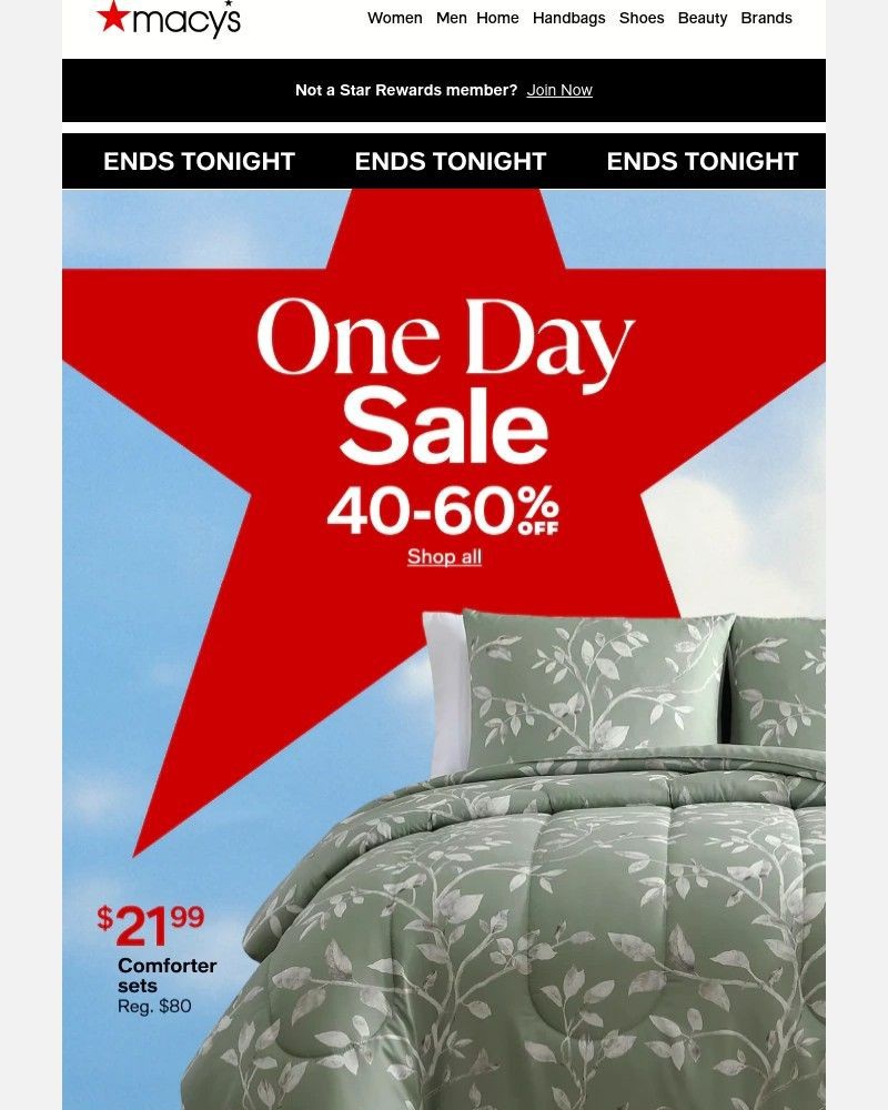 Screenshot of email with subject /media/emails/ends-tonight-2199-comforters-more-epic-deals-0a4614-cropped-72242802.jpg