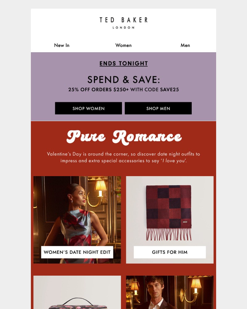Screenshot of email with subject /media/emails/ends-tonight-25-off-orders-over-250-434c85-cropped-56c6b80a.jpg